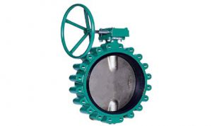 butterfly-valve